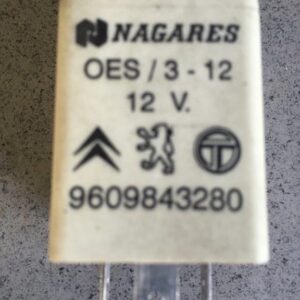 NAGARES 9609843280